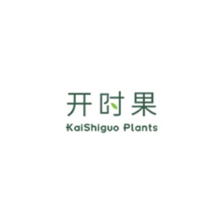 KaiShiguo Plants/开时果