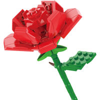 JAKI 佳奇 植物日志系列 JK2631 玫瑰花