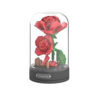 JAKI 佳奇 JK2675 永生花 情深