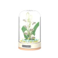 JAKI 佳奇 音乐盒系列 JK2678 永生花 幸福来信 铃兰