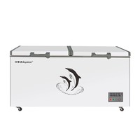 Royalstar 荣事达 冰柜商用大容量全冷冻卧式冷柜家用速冻保鲜节能省电冷冻柜