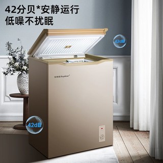 Royalstar 荣事达 微霜小冰柜家用小型冷冻冷藏两用商用冷柜