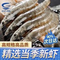 GUOLIAN 国联 水产龙霸大虾净重400g/盒新鲜冷冻白虾14-17cm海虾对虾基围虾