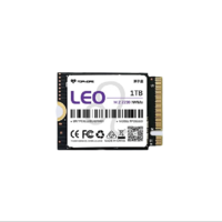 TOPMORE 达墨 Leo狮子座 NVMe M.2 固态硬盘 1TB（PCI-E4.0）