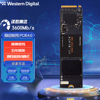 西部数据 SN750SE SSD固态硬盘M.2接口 PCIE4.0 SN750SE+散热片 1TB