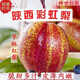 陕西彩虹梨脆甜爆汁水果 净重2.8-3斤（6-8个）