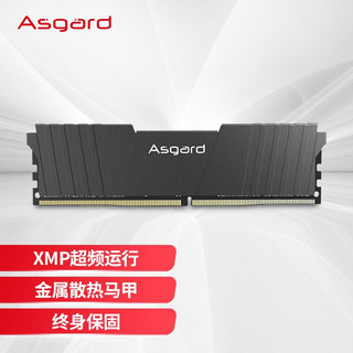 Asgard 阿斯加特 洛极 T2 DDR4 3200MHz 台式机内存 马甲条 黑色 16GB