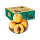 山东黄金油桃 4.5-5斤