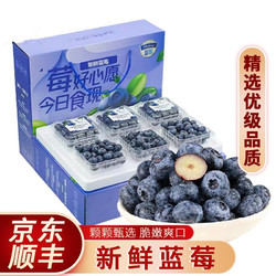 蓝莓 125g*2盒装 15-20mm+