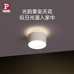 Paulmann 德国柏曼 P柏曼筒灯Raabelle 高亮度客厅明装无主灯天花灯玄关圆形灯G0062