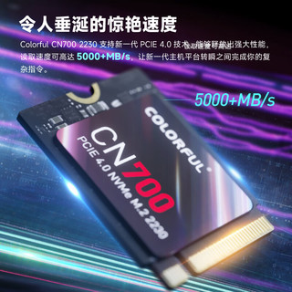 COLORFUL 七彩虹 SSD CN系列 CN700 2230 NVMe M.2 固态硬盘 1TB（PCI-E4.0）