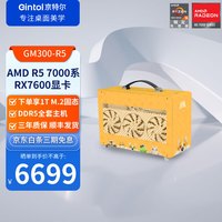 Gintol 京特尔 DIY游戏主机（R5-7500F、32GB、1TB、RX7600）