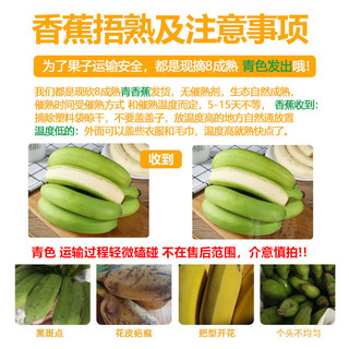 赣馨园云南高山香蕉9斤新鲜当季水果整箱大芭蕉叶小米蕉甜香焦自然