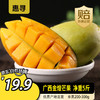 惠寻 广西金煌芒果 带箱5.4斤 净重5斤 单果200-300g 新鲜水果芒果