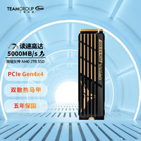 十铨科技 （Team）黑曜女神 A440 1TB  固态硬盘 2TB M.2 PCIe 4.0SSD 黑曜女神A440 2TB SSD