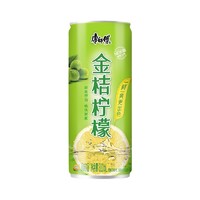 康师傅 310ml*24罐冰红茶/金桔柠檬/青梅绿茶混合多口味易拉罐罐装