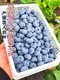 蓝莓 125g*6盒 单颗12-15mm+