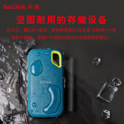 SanDisk 闪迪 至尊极速系列 E61 卓越版 USB3.2 移动固态硬盘 Type-C 4TB 松柏青