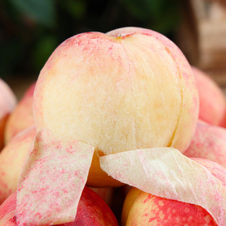 新鲜水蜜桃10斤桃子水果整箱应当季现摘软时令油脆脆甜桃毛桃密桃