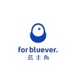 for bluever/蓝主角