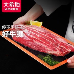 HITOMORROW 大希地 京东Plus上：大希地 国产整切调理牛腱子肉 1000g