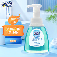 PLUS会员：EVER GREEN 绿伞 抗菌泡沫洗手液300g/瓶（悠然海风） 滋润护肤易冲洗