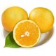 夏橙4粒装 橙子单果约100g 精选甜橙