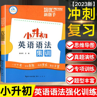 小升初英语语法专项训练题小学英语法知识大全3-6年级系统总复习六年级阅读理解专项训练人教版小学生练习教材辅导初一册真题试卷