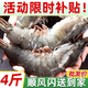 XYXT 虾有虾途 青岛海水大虾 16-18cm 2kg