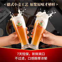 taishan 泰山原浆啤酒 7天10°P红七精酿原浆啤酒整箱720ml*6