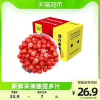 88VIP：GREER 绿行者 红樱桃番茄生吃小西红柿1.5kg酸甜多汁小番茄新鲜水果