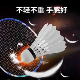 LI-NING 李宁 羽毛球耐打王不易烂室内外专业比赛训练练习用球12只装 12只装（77速）AYQQ024