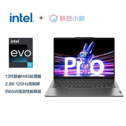 Lenovo 联想 小新Pro14 2023 i5-13500H 32G 1TB 轻薄本笔记本电脑