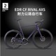 DECATHLON 迪卡侬 EDR CF RIVAL 全碳纤维竞速公路车 8737267