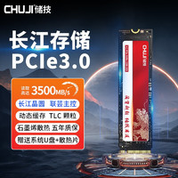 YiRight 依正 长江存储ssd固态硬盘m.2接口PCIe3.0 NVME协议 Pcie3.0固态硬盘256G