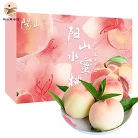 阳山 无锡水蜜桃 单果4-5两12个礼盒装净重4.8斤多