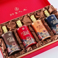 WULIANGYE 五粮液 4瓶装财富人生浓香型白酒 52度 500ml