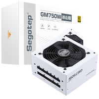 鑫谷（Segotep）额定750W GN750W冰山版白色电源（80plus金牌/双CPU供电/5年质保/台式游戏主机箱电脑电源）