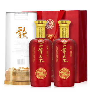 WULIANGYE 五粮液 一尊天下 佳酿  52度高度白酒  500ml*2 双瓶装