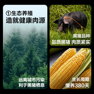 网易严选烤肠纯黑猪肉香肠火山石儿童烤肠无添加肉肠火腿肠热狗肠 黑胡椒黑猪肉烤肠2盒