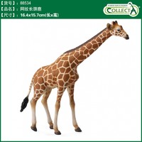 COLLECTA 英国CollectA我你他仿真野生动物合集模型玩具认知 88534网纹长颈鹿
