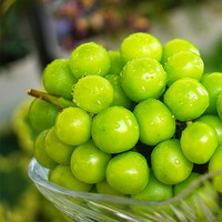 阳光玫瑰葡萄青提3斤无籽葡萄新鲜水果当季整箱