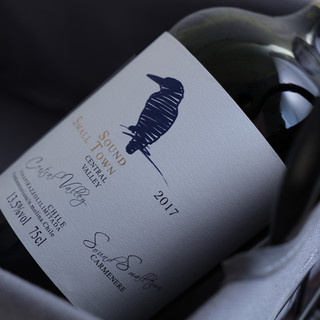 买一送一智利进口红酒干红葡萄酒中央山谷产区佳美娜13.5度750ML