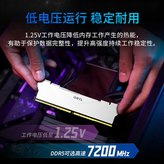 GeIL 金邦 巨蟹战甲系列 DDR5 6400MHz 台式机内存 马甲条 白色 32GB 16GB*2