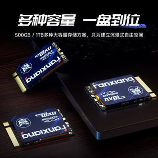 FANXIANG 梵想 S630 NVMe M.2 固态硬盘（PCI-E4.0）