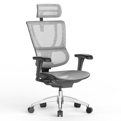 Ergonor 保友办公家具 优b 2代 人体工学电脑椅 银白色 推荐款