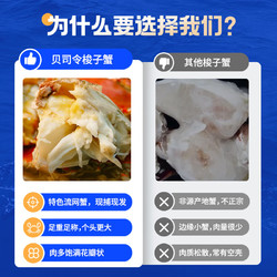 【冰鲜】贝司令 舟山梭子蟹 2.8斤 单只3.5-4.5两 7-8只 100%鲜活发出 保鲜不保活