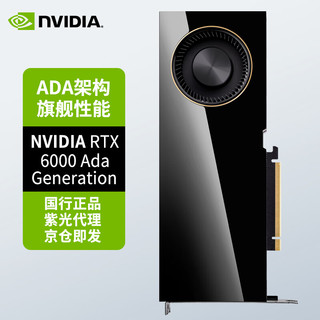 NVIDIA 英伟达 RTX 6000 Ada 48GB GDDR6 专业显卡