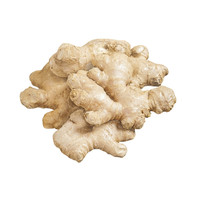岸念 新鲜蔬菜生姜老姜5斤装无硫月子顺丰包邮