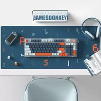 JAMES DONKEY RS6 三模机械键盘 95键 box白轴